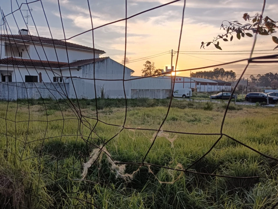 Terreno para Venda em Soza Foto 20
