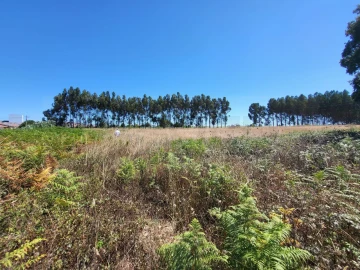 Terreno para Venda em Ílhavo (São Salvador)