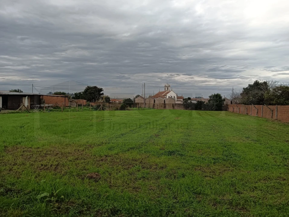 Terreno para Venda em Beduído e Veiros Foto 5