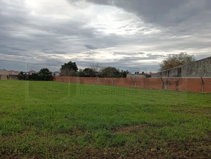 Terreno para Venda em Beduído e Veiros Foto 2