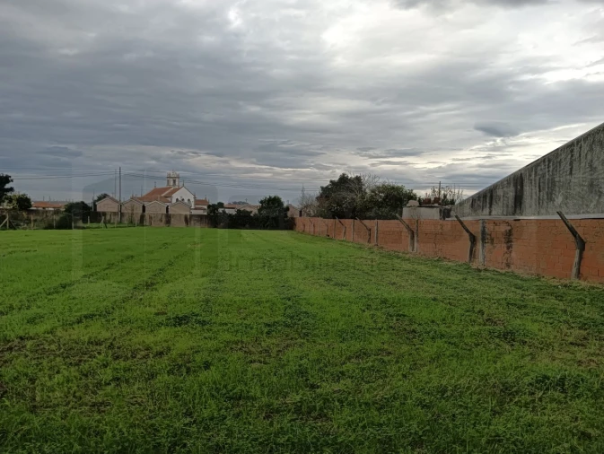 Terreno para Venda em Beduído e Veiros Foto 4