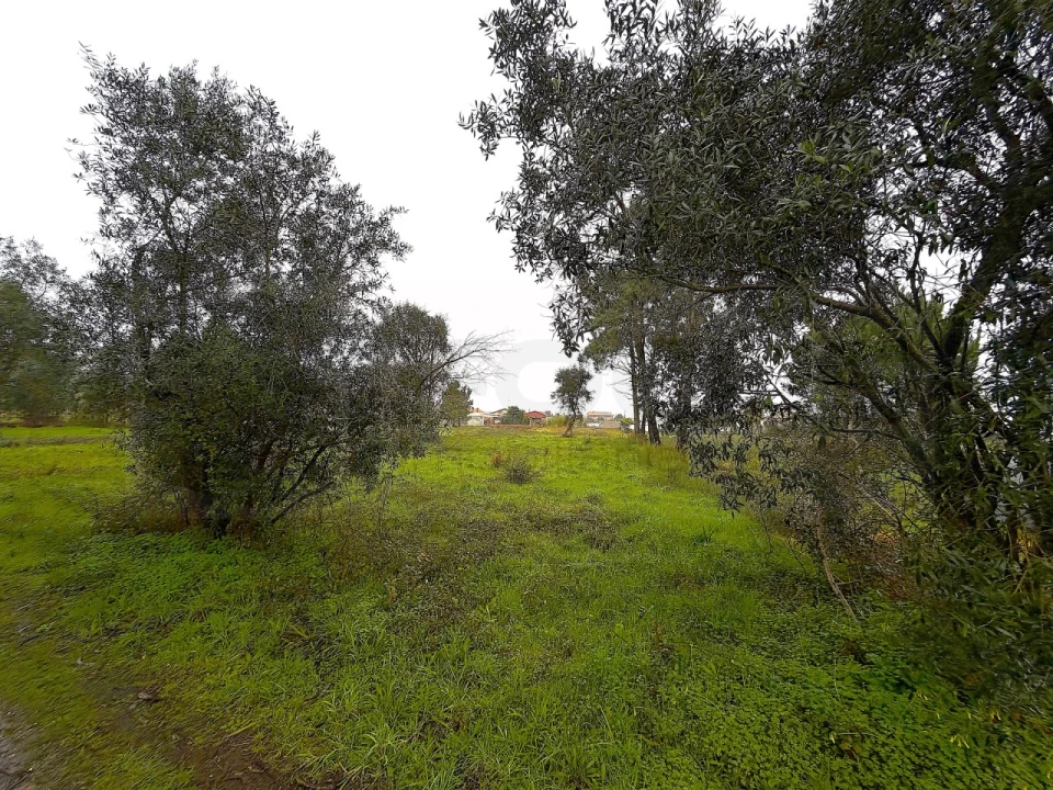 Terreno para Venda em Ouca Foto 6