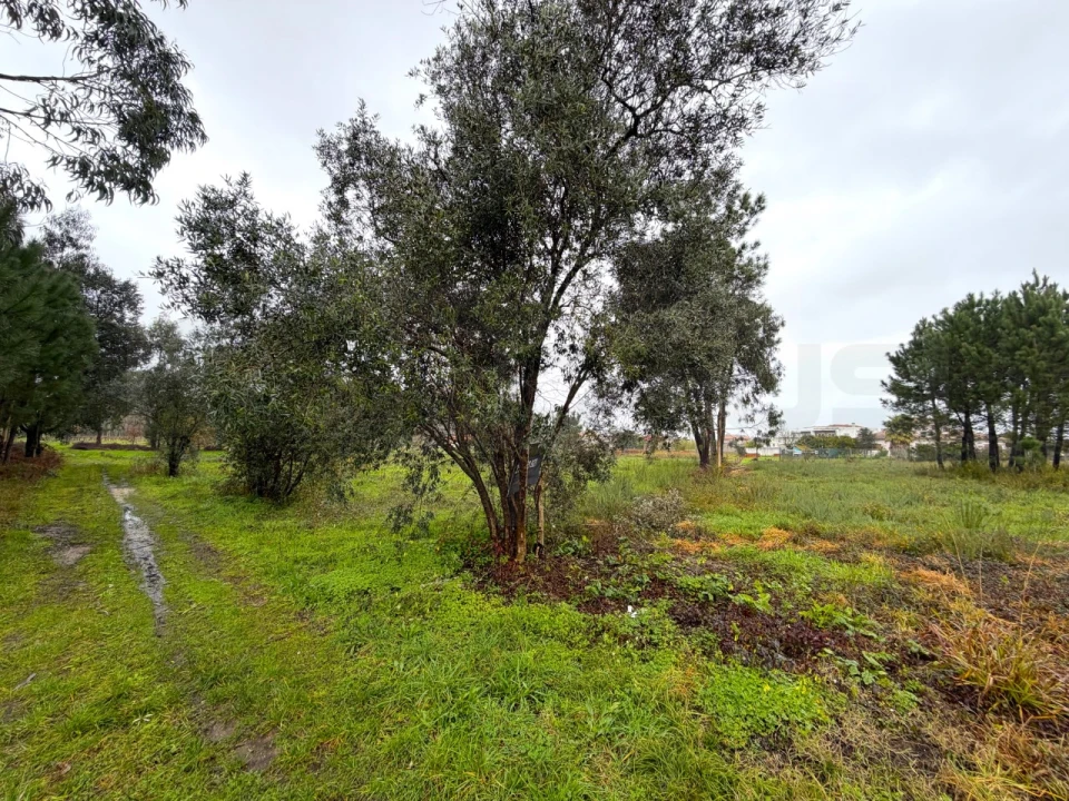 Terreno para Venda em Ouca Foto 15