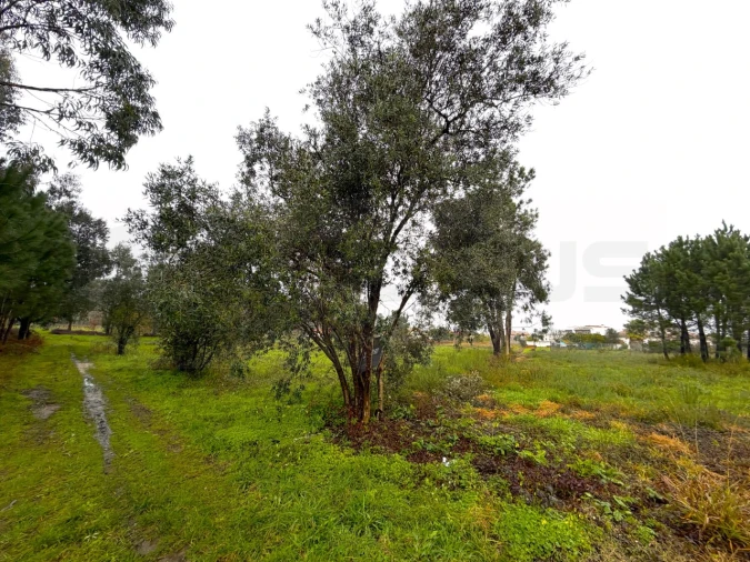 Terreno para Venda em Ouca Foto 13