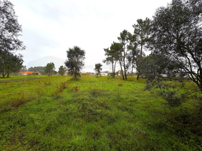 Terreno para Venda em Ouca Foto 17