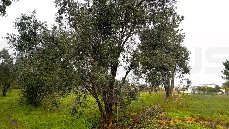 Terreno para Venda em Ouca