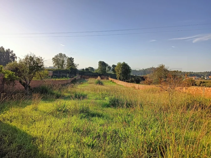 Terreno para Venda em Beduído e Veiros Foto 1