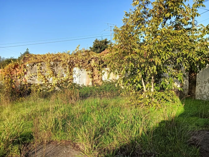 Terreno para Venda em Beduído e Veiros Foto 3
