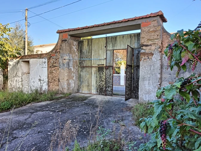 Terreno para Venda em Beduído e Veiros Foto 4