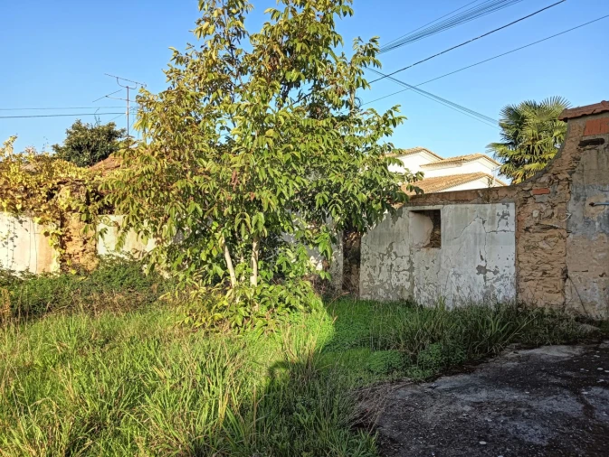 Terreno para Venda em Beduído e Veiros Foto 6
