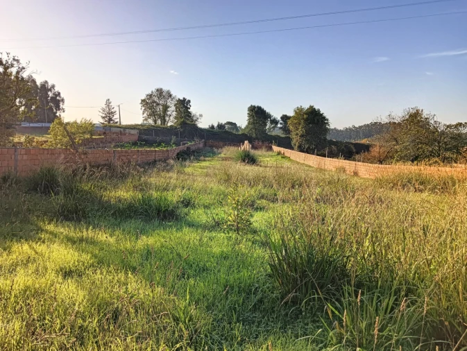 Terreno para Venda em Beduído e Veiros Foto 7