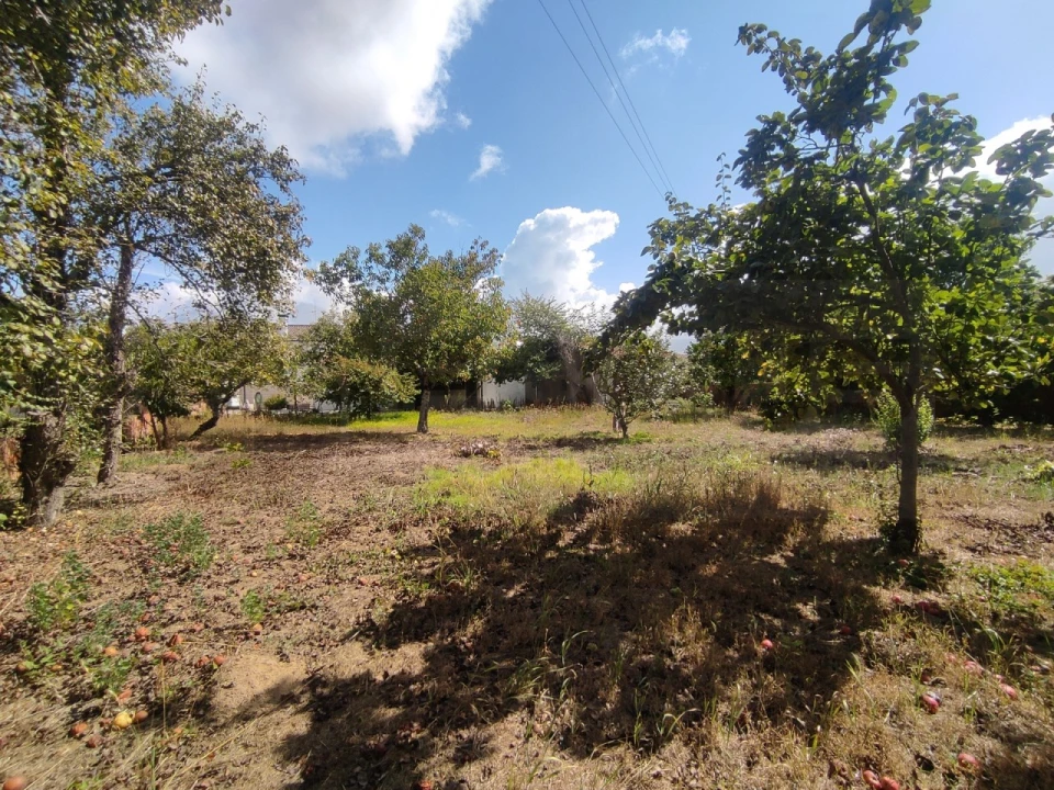 Moradia T3 para Arrendamento em Requeixo, Nossa Senhora de Fátima e Nariz Foto 47