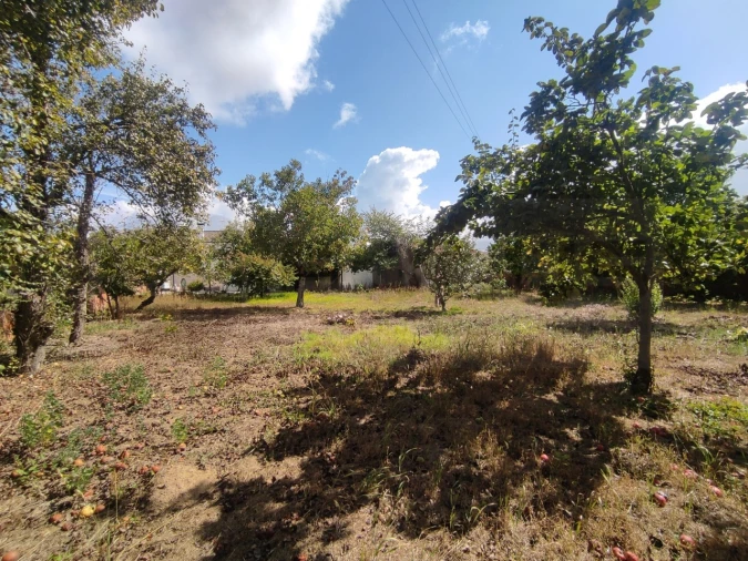 Moradia T3 para Arrendamento em Requeixo, Nossa Senhora de Fátima e Nariz Foto 47