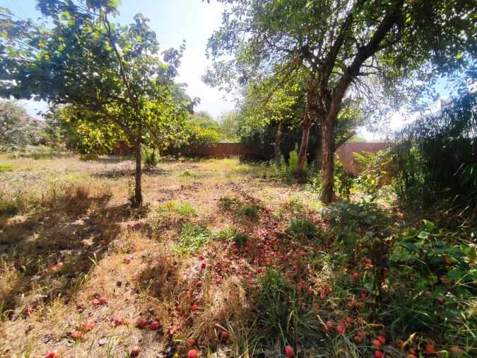 Moradia T3 para Arrendamento em Requeixo, Nossa Senhora de Fátima e Nariz Foto 48