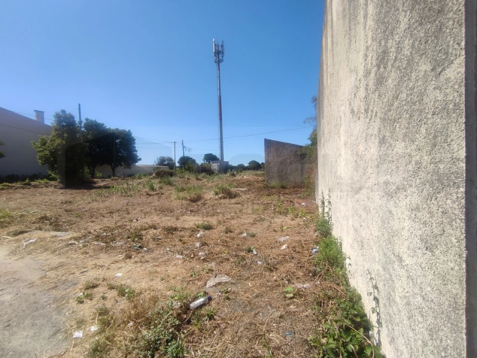 Terreno para Venda em Esgueira Foto 3