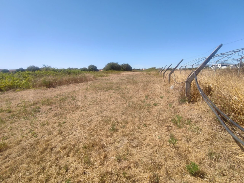 Terreno para Venda em Esgueira Foto 7