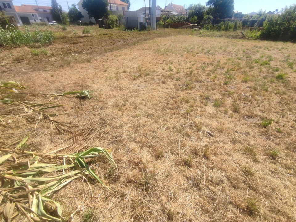 Terreno para Venda em Esgueira Foto 9