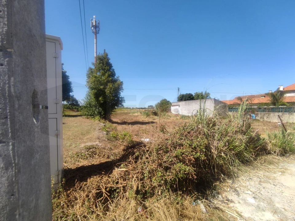 Terreno para Venda em Esgueira Foto 11