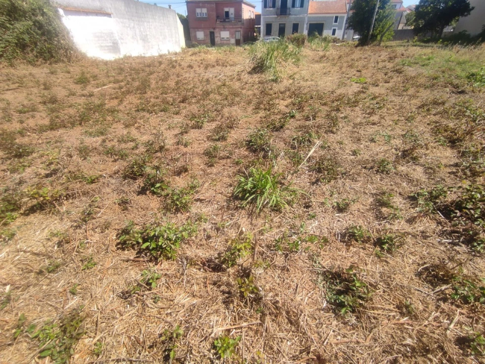 Terreno para Venda em Esgueira Foto 15