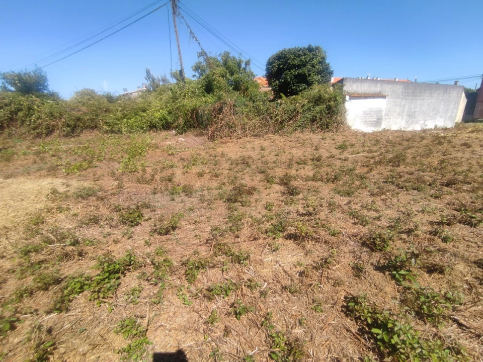 Terreno para Venda em Esgueira Foto 16