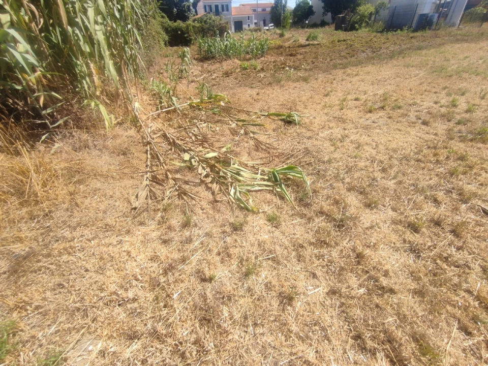 Terreno para Venda em Esgueira Foto 19