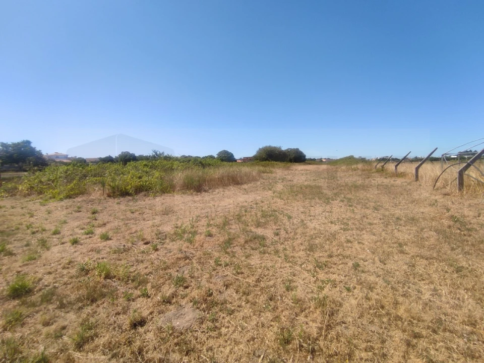 Terreno para Venda em Esgueira Foto 20