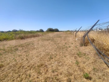 Terreno para Venda em Esgueira