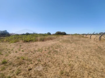 Terreno para Venda em Esgueira