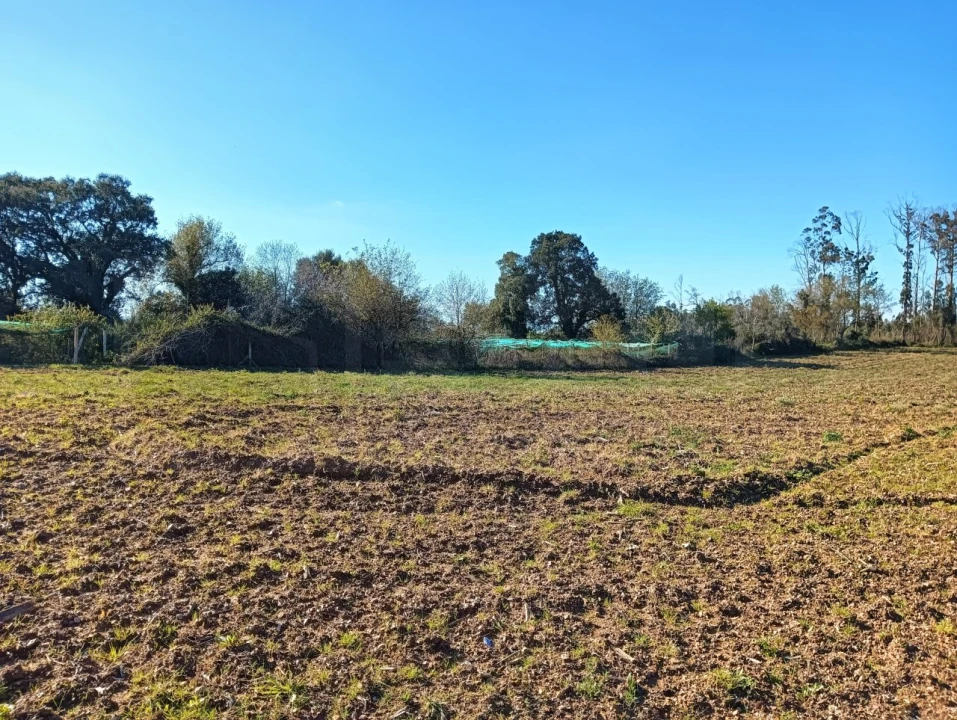 Terreno para Venda em Albergaria-A-Velha e Valmaior Foto 1