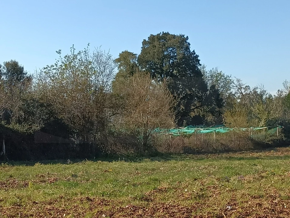 Terreno para Venda em Albergaria-A-Velha e Valmaior Foto 7
