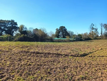 Terreno para Venda em Albergaria-A-Velha e Valmaior