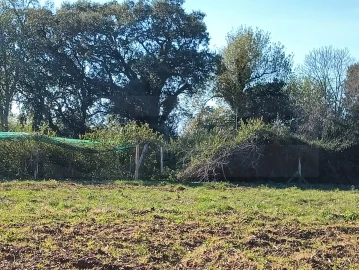 Terreno para Venda em Albergaria-A-Velha e Valmaior