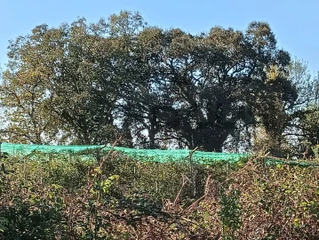 Terreno para Venda em Albergaria-A-Velha e Valmaior