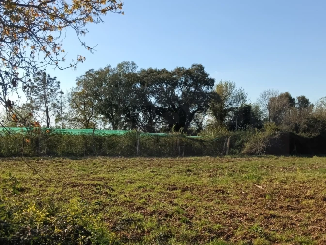 Terreno para Venda em Albergaria-A-Velha e Valmaior Foto 3