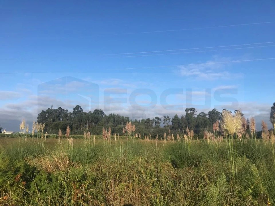 Terreno para Venda em Beduído e Veiros Foto 3