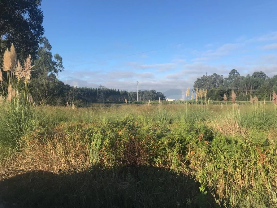 Terreno para Venda em Beduído e Veiros Foto 4