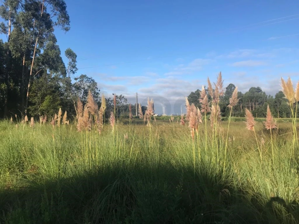 Terreno para Venda em Beduído e Veiros Foto 6