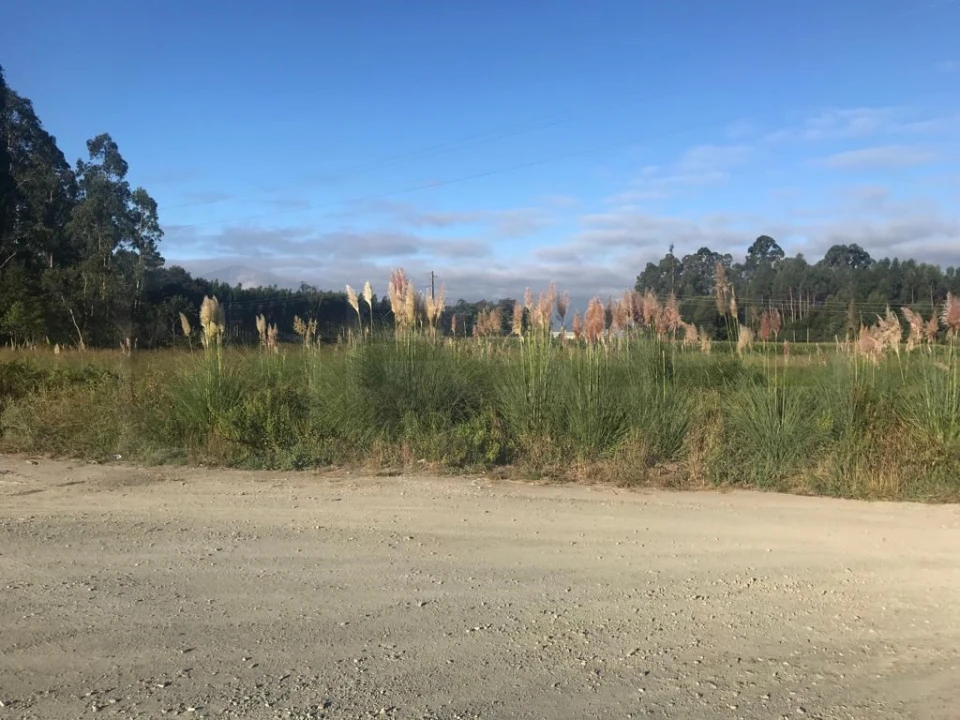 Terreno para Venda em Beduído e Veiros Foto 8