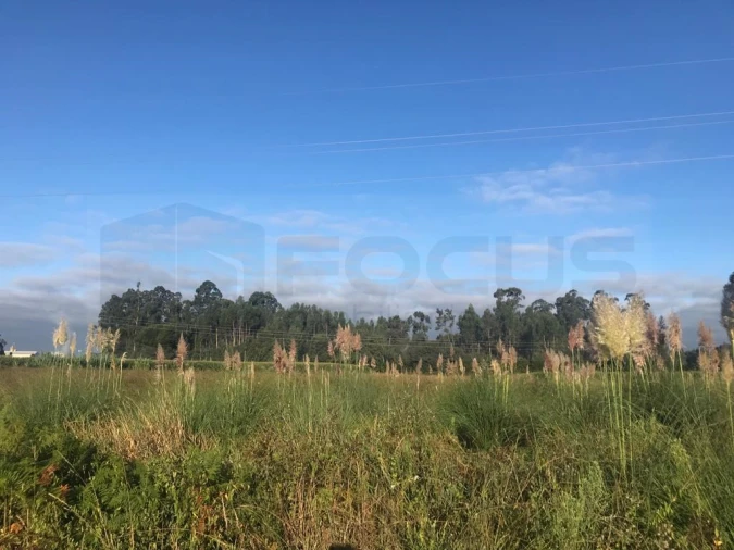 Terreno para Venda em Beduído e Veiros Foto 3
