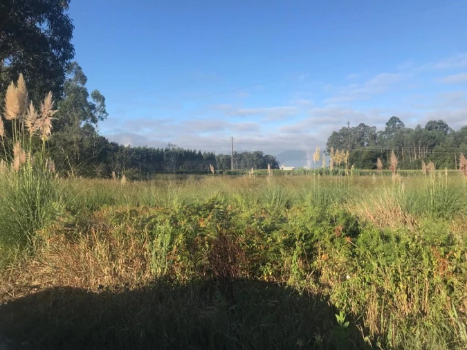 Terreno para Venda em Beduído e Veiros Foto 4