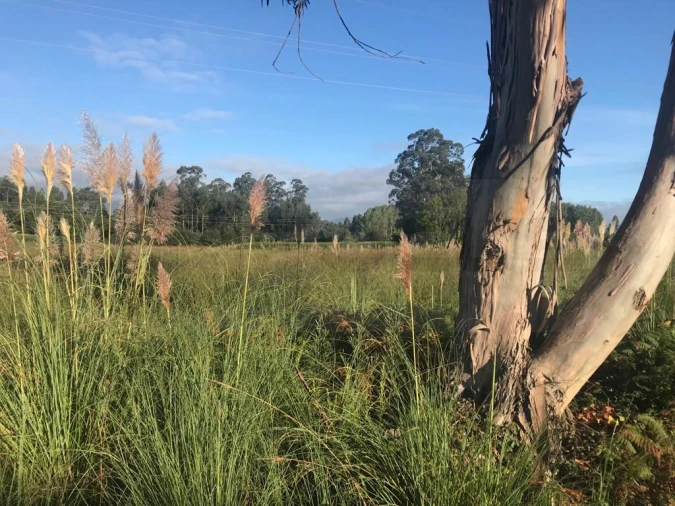 Terreno para Venda em Beduído e Veiros Foto 7