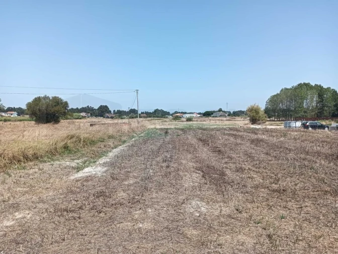 Terreno para Venda em Ponte de Vagos e Santa Catarina Foto 15