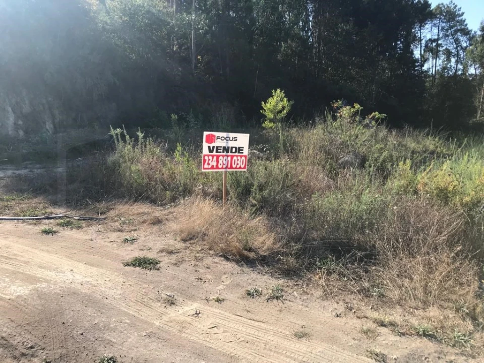 Terreno para Venda em O. Azeméis, Riba-Ul, Ul, Macinhata Seixa, Madail Foto 2