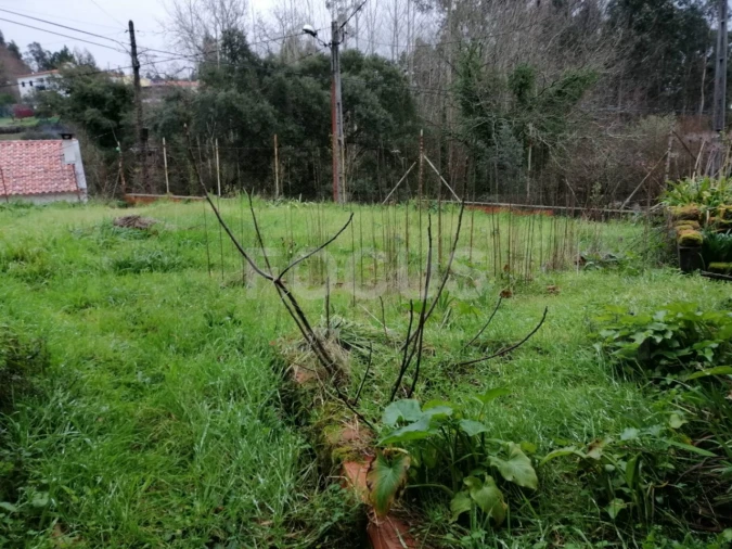 Terreno para Venda em Travassô e Óis da Ribeira Foto 1