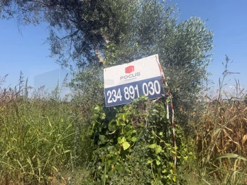 Terreno para Venda em Ouca