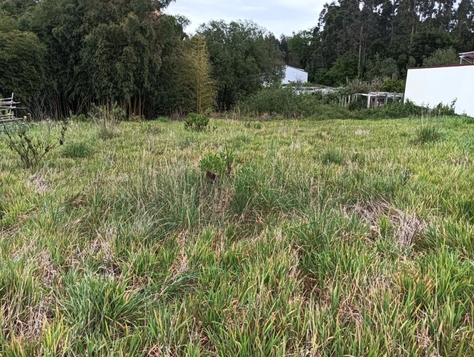 Terreno para Venda em Ílhavo (São Salvador) Foto 4
