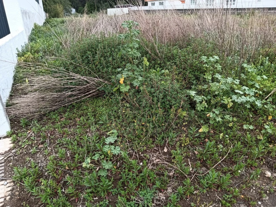 Terreno para Venda em Ílhavo (São Salvador) Foto 8