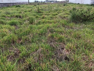 Terreno para Venda em Ílhavo (São Salvador)
