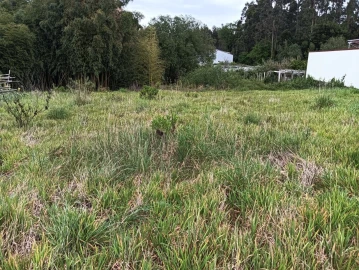 Terreno para Venda em Ílhavo (São Salvador)