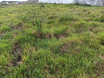 Terreno para Venda em Ílhavo (São Salvador)